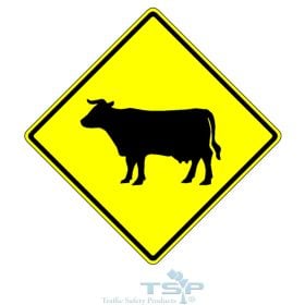 W11-4: Cattle Traffic Graphic Sign, 48" x 48", Engineer Grade